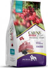 Корм для собак Carni Life Medium Maxi полнорационный сухой корм для собак средних и крупных пород, низкозерновой, с ягненком, ежевикой и клюквой - 2,5 кг повседневный супер