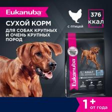 Корм для собак Eukanuba Сухой корм Adult Dog Large Breed Rich in Chicken с курицей для взрослых собак крупных пород 15кг