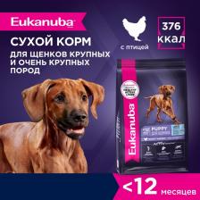 Корм для собак Eukanuba Сухой корм Puppy Large Breed with Chicken с курицей для щенков крупных пород 3кг