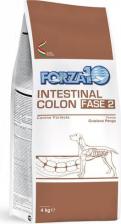Корм для собак Forza10 Intestinal Colitis fase II корм для собак, профилактика рецедивов колитов, с рыбой