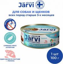 Корм для собак Jarvi монопротеиновые полнорационные консервы для собак и щенков всех пород с 3-х месяцев, 100 г. Лосось упаковка 7 шт