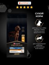 Корм для собак Pro Plan Корм сухой "Adult Large Athletic", для собак крупных пород с атлетическим телосложением, с курицей, 14 кг