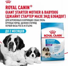 Корм для собак Royal Canin Giant Starter для щенков до 2 месяцев, беременных и кормящих сук гигантских пород