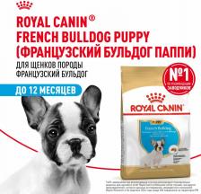 Корм для собак Royal Canin Корм для щенков French Bulldog Puppy для породы Французский бульдог до 12 мес. сух. 3кг