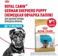 Корм для собак Royal Canin Корм для щенков German Shepherd Puppy для породы Немецкая овчарка до 15 месяцев сух. 12кг