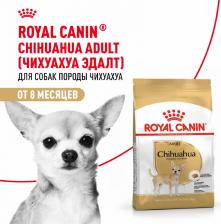 Корм для собак Royal Canin Корм для собак Chihuahua 28 для породы Чихуахуа старше 8 месяцев сух. 1,5кг