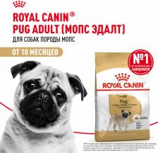 Корм для собак Royal Canin Корм для собак Pug 25 для породы Мопс старше 10 месяцев сух. 1,5кг