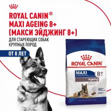 Корм для собак Royal Canin Корм для собак Size Maxi Ageing для крупных пород старше 8 лет сух. 15кг