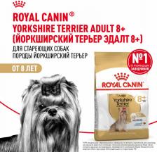 Корм для собак Royal Canin Корм для собак Yorkshire Terrier для породы Йоркширский терьер старше 8 лет сух.500г