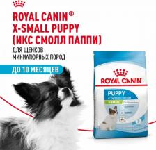 Корм для собак Royal Canin Корм сухой "X-Small", для щенков мелких пород миниатюрных собак с 2 до 10 месяцев, 3 кг