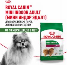 Корм для собак Royal Canin Mini Indoor Adult, корм сухой для взрослых собак в возрасте от 10 месяцев, 3кг