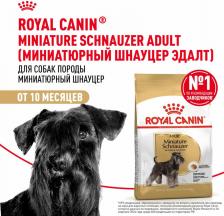 Корм для собак Royal Canin Miniature Schnauzer Adult для собак породы миниатюрный шнауцер