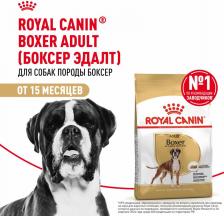Корм для собак Royal Canin Сухой корм Adult Boxer для собак от 15 месяцев породы Боксер 12кг