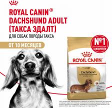 Корм для собак Royal Canin Сухой корм Adult Dachshund для собак от 10 месяцев породы Такса 7,5кг