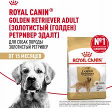 Корм для собак Royal Canin Сухой корм Adult Golden Retriever для собак от 15 месяцев породы Голден ретривер 12кг