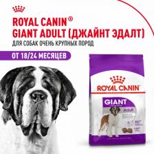 Корм для собак Royal Canin Сухой корм для собак гигантских пород старше 18/24 месяцев "Giant Adult MGА-28", 4 кг