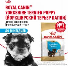 Корм для собак Royal Canin YORKSHIRE TERRIER PUPPY корм для щенков породы йоркширский терьер в возрасте до 10 месяцев