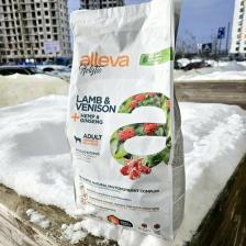Корм для собак Triol Корм сухой ALLEVA HOLISTIC DOG Adult Lamb & Venison Medium/Maxi для взрослых собак с ягненком и олениной, коноплей и женьшенем 2кг 2356