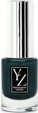 Косметика для ногтей Yllozure Лаки для ногтей Лак для ногтей GLAMOUR 3701191761141