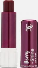 Бальзам Himalaya Бальзам для губ "Ягодный блеск", 4,5г