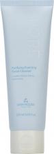 Пенка The Skin House Очищающая пенка для лица Pore Purifying 120 мл