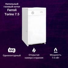 Котел отопления Ferroli Torino7.5