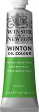 Краска для рисования Winsor&Newton Масляные Краски масляные WINTON 37мл, желто-зеленый ФЦ