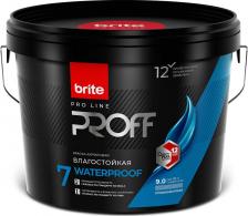 Краска Brite Интерьерная влагостойкая краска PROFESSIONAL