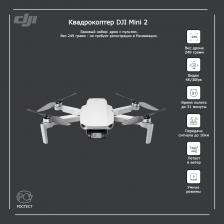 Квадрокоптер DJI Mini 2