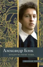 Литература Книга Блок Александр Александрович. Предчувствую тебя…