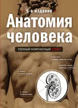 Литература Книга Боянович Юрий Владимирович. Анатомия человека. Полный компактный атлас