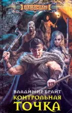Литература Книга Брайт Владимир Владимирович. Контрольная точка