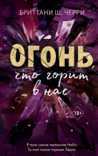 Литература Книга Бриттани Ш. Черри. Огонь, что горит в нас