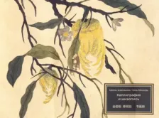 Литература Книга Цзинь Цзюмин, Чэнь Минцзы. Каллиграфия и живопись
