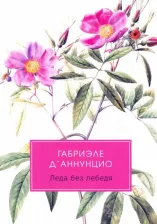 Литература Книга Д`Аннунцио Г. Леда без лебедя: романы