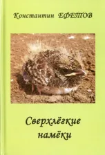 Литература Книга Ефетов Константин Александрович. Сверхлёгкие намёки