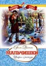 Литература Книга Гринин Ефим Иосифович. Мальчишки. Истории и рассказы