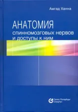 Литература Книга Ханна А.; Пер. с англ. Н.О. Хусаинова; Под ред. А.И. Гайворонского, И.В. Гайворонского, Д.В. Свистова. Анатомия спинномозговых нервов и доступы к ним