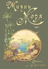 Литература Книга Келлер К. Жизнь моря