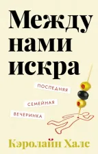Литература Книга Кэролайн Халс. Между нами искра