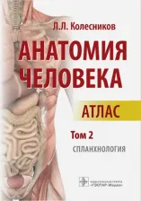 Литература Книга Колесников Л.Л. Анатомия человека. Атлас в 3-х томах. Том 2. Спланхнология