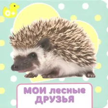Литература Книга Ковалева Евгения. Мои лесные друзья