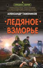 Литература Книга Ледяное взморье