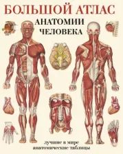 Литература Книга Махиянова Е.Б./пер.с англ. Большой атлас анатомии человека