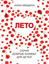 Литература Книга Мишина Анна. Лето