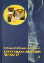 Литература Книга Митронин Александр Валентинович, Янушевич Олег Олегович, Смирнов Виталий Григорьевич. Клиническая анатомия челюстей
