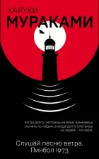 Литература Книга Мураками Харуки. Слушай песню ветра. Пинбол 1973
