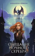 Литература Книга Обещание ночного серебра (#1)