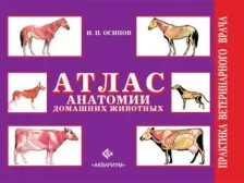 Литература Книга Осипов Иван Прокопьевич. Атлас анатомии домашних животных