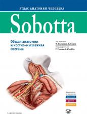 Литература Книга Под ред. Ф. Паульсена, Й. Вашке; Пер. с англ.; Под ред. С.Е. Шемякова. Sobotta. Атлас анатомии человека. В 3 томах. Том 1. Общая анатомия и